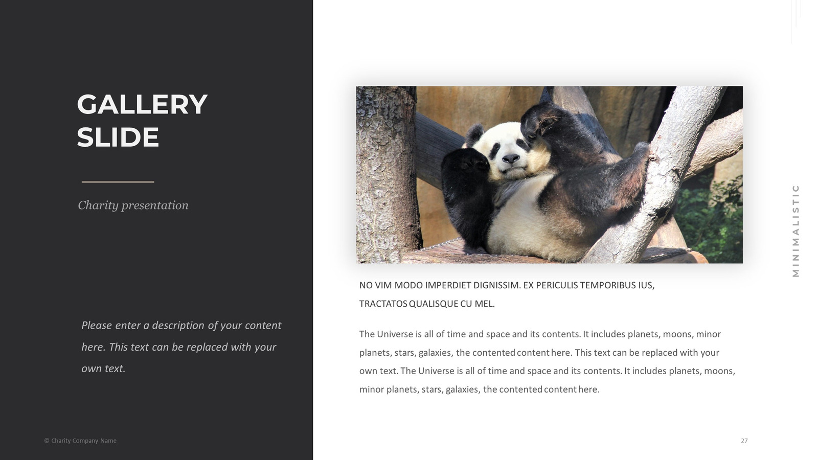 Animal Charity PowerPoint template #78793 - TemplateMonster