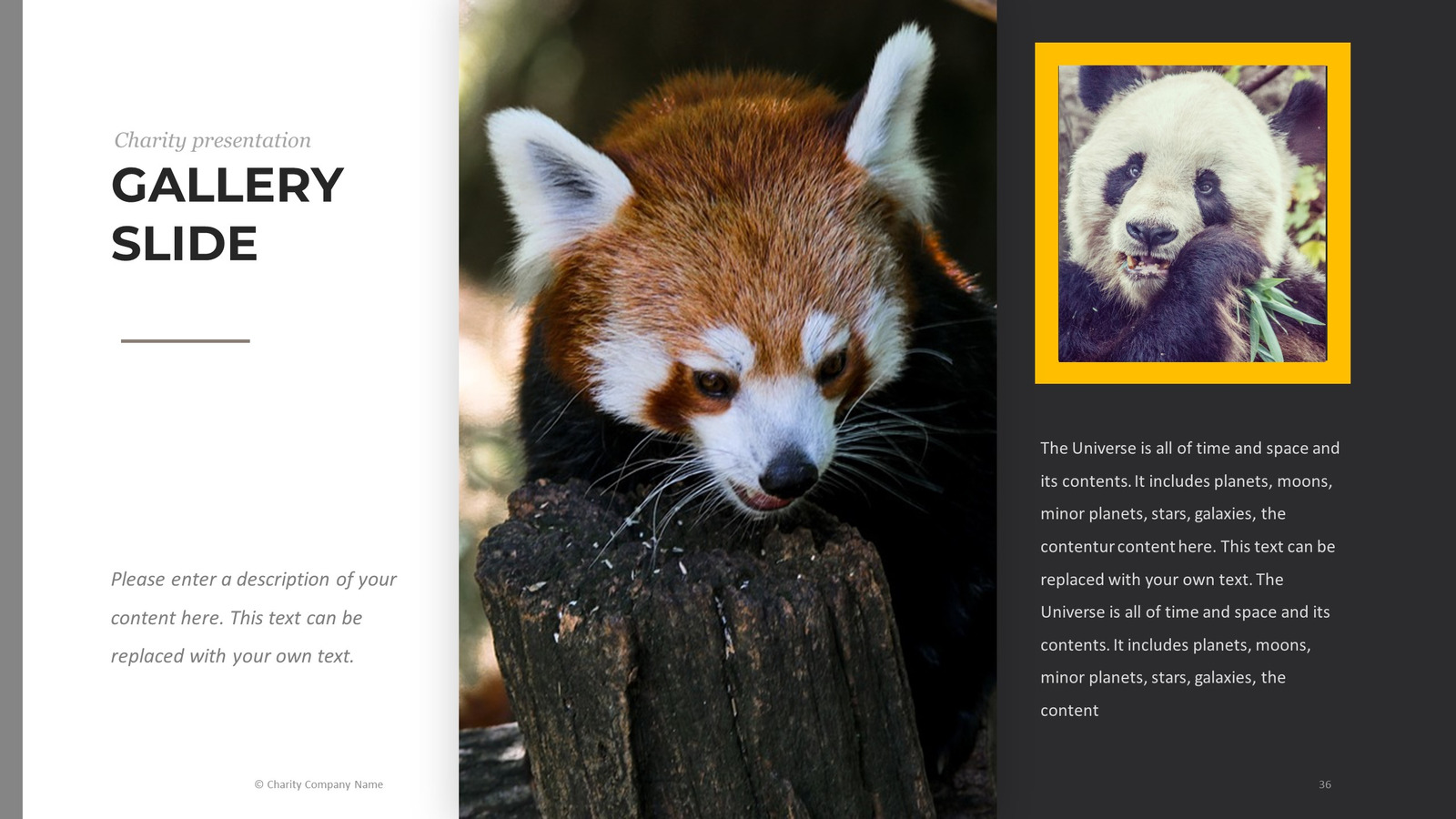 Animal Charity PowerPoint template #78793 - TemplateMonster