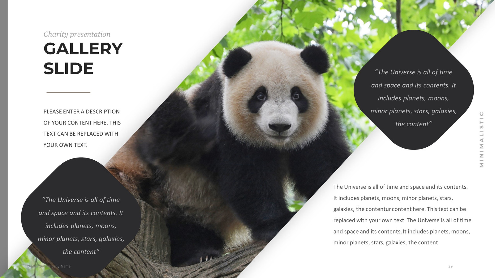 Animal Charity PowerPoint template #78793 - TemplateMonster