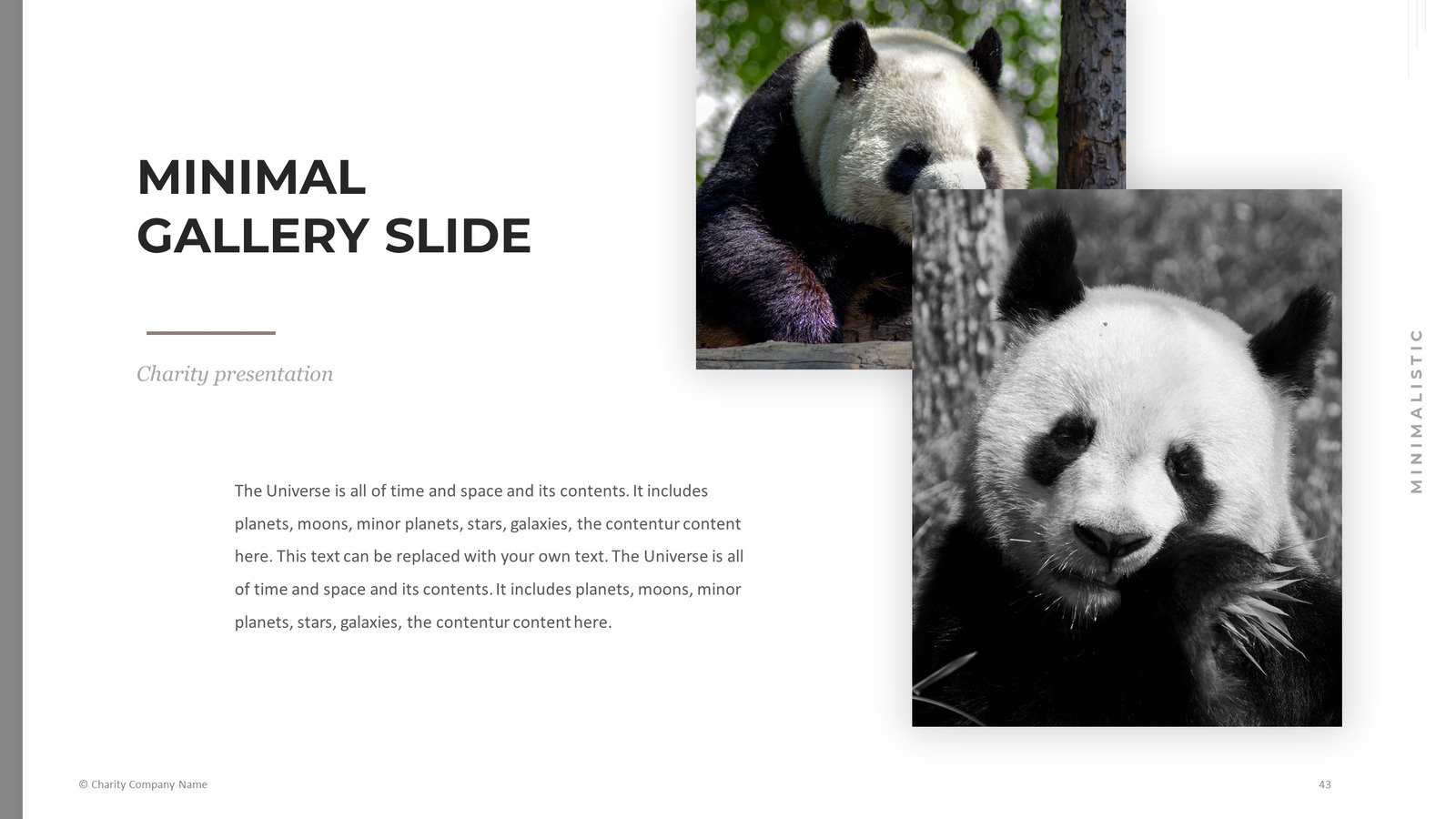 Animal Charity PowerPoint template #78793 - TemplateMonster