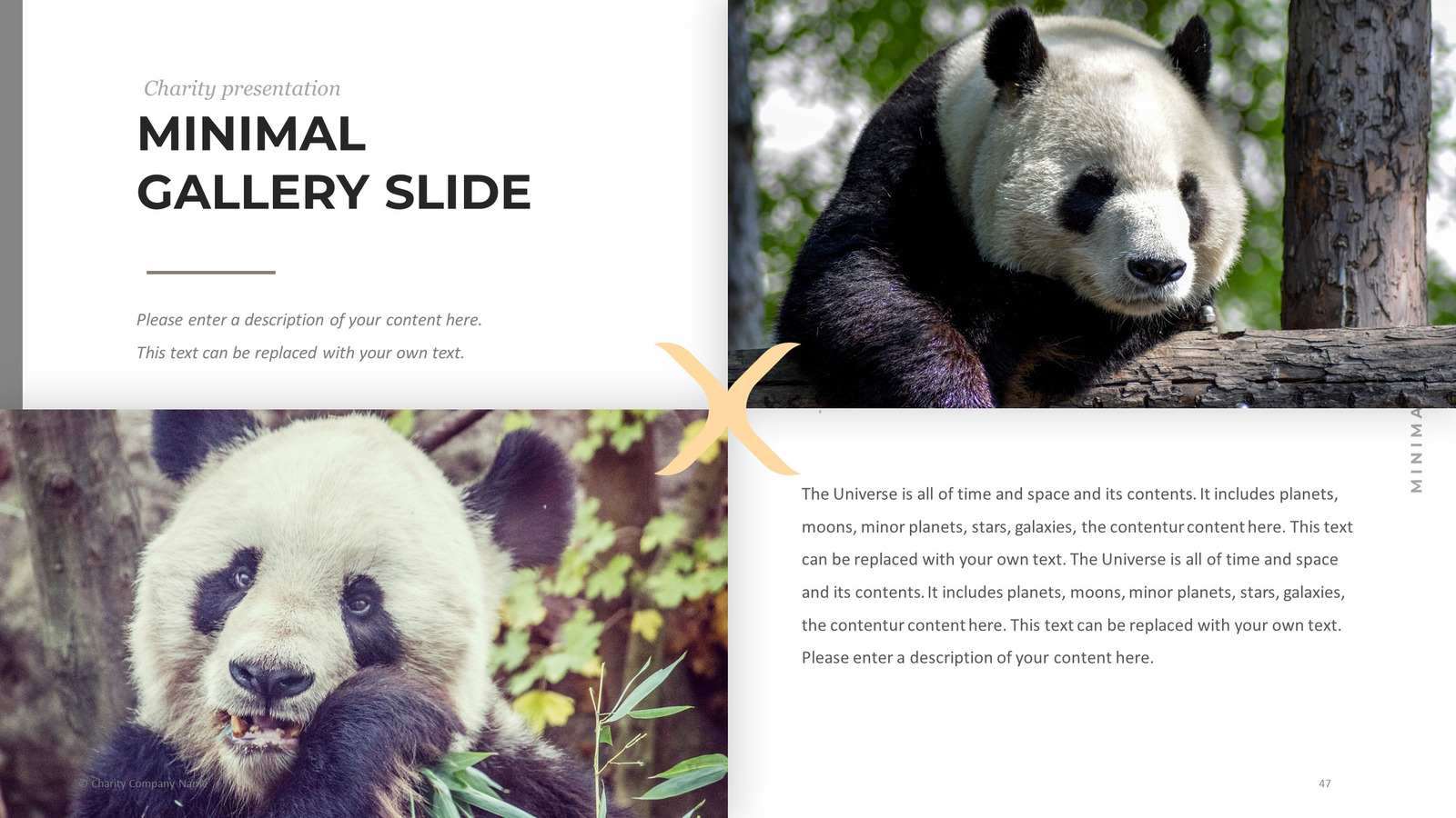 Animal Charity PowerPoint template #78793 - TemplateMonster