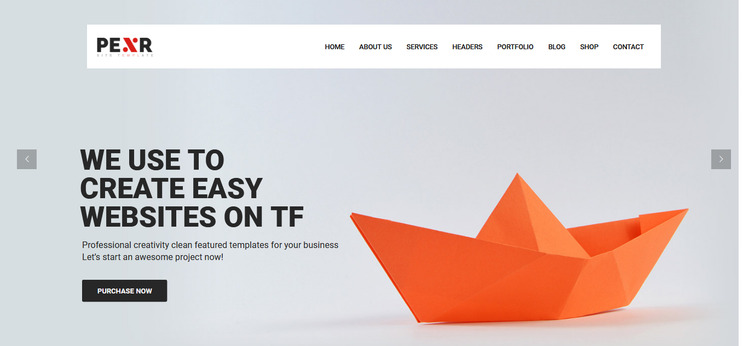 Pexr - Responsive Multipurpose HTML5 Website Template #77069