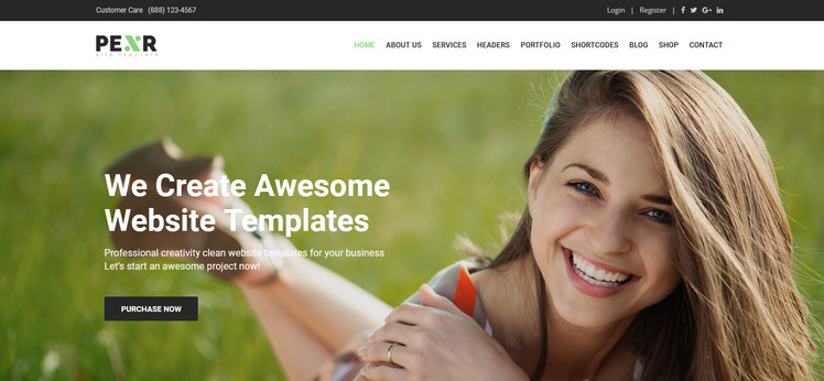 Pexr - Responsive Multipurpose HTML5 Website Template #77069