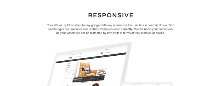 Big Bag Wholesale Store Shopify Theme #66938-1