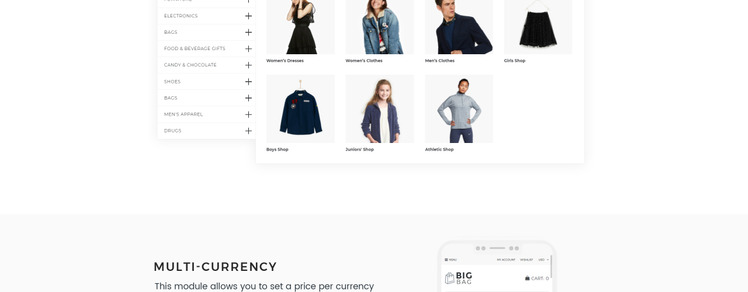 Big Bag Wholesale Store Shopify Theme #66938-4