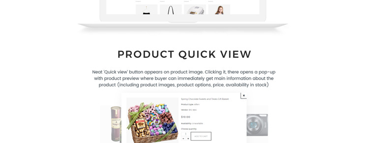 Big Bag Wholesale Store Shopify Theme #66938-9