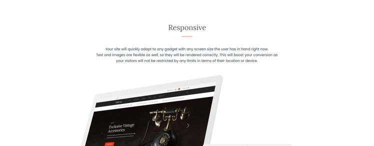 OldUnit Antique Store Shopify Theme #66976-1