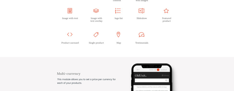 OldUnit Antique Store Shopify Theme #66976-3