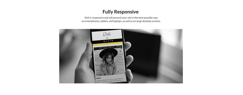 Didi - Fashion WordPress Theme - Features Image 1