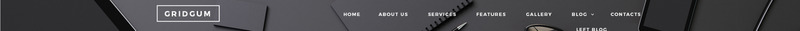 Black & White Labels Website Template - Features Image 1