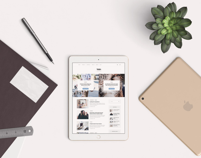 Iggy - Clean Blog & Magazine WordPress Theme - Features Image 2