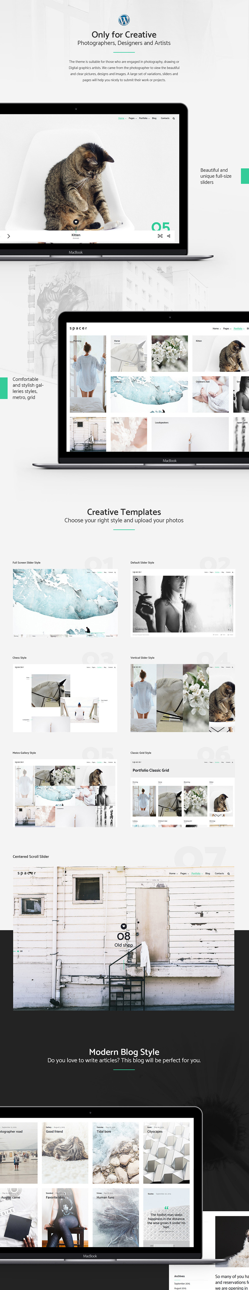 Spacer - motyw WordPress do portfolio fotografii - Obraz funkcji 1