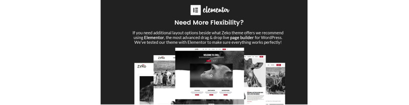 Zeko - Hayır Kurumu ve Kar Amacı Gütmeyen - WordPress Teması - Features Image 5