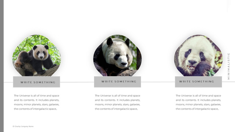 Modelo de PowerPoint de caridade animal - Features Image 11