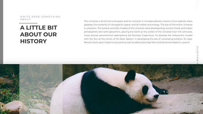 Modelo de PowerPoint de caridade animal - Features Image 13