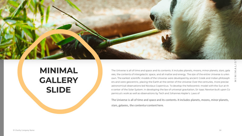 Modelo de PowerPoint de caridade animal - Features Image 14