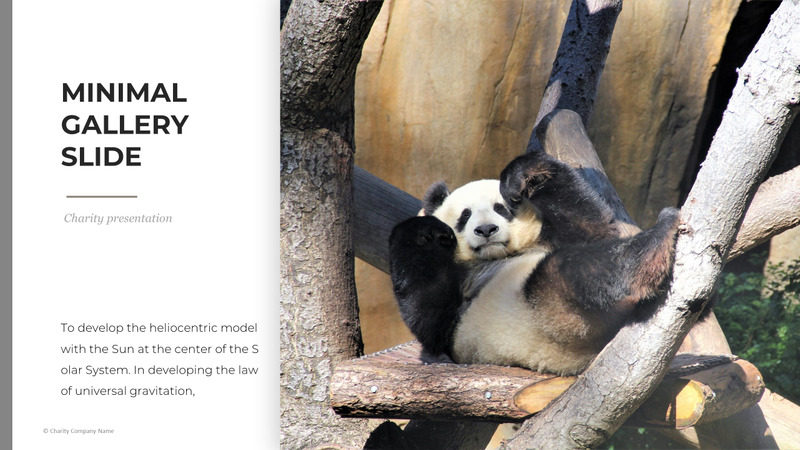 Modelo de PowerPoint de caridade animal - Features Image 15