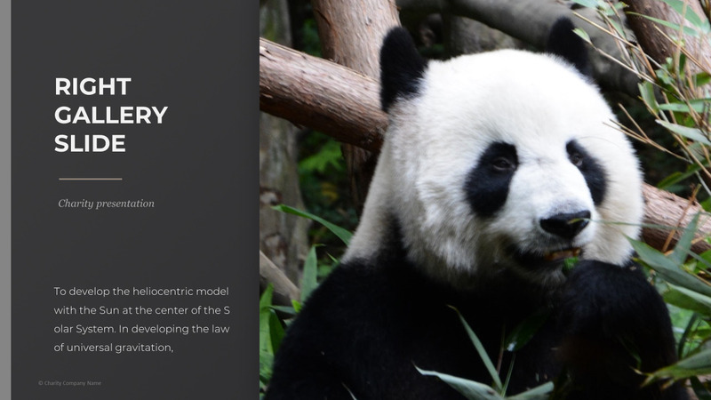 Modelo de PowerPoint de caridade animal - Features Image 16