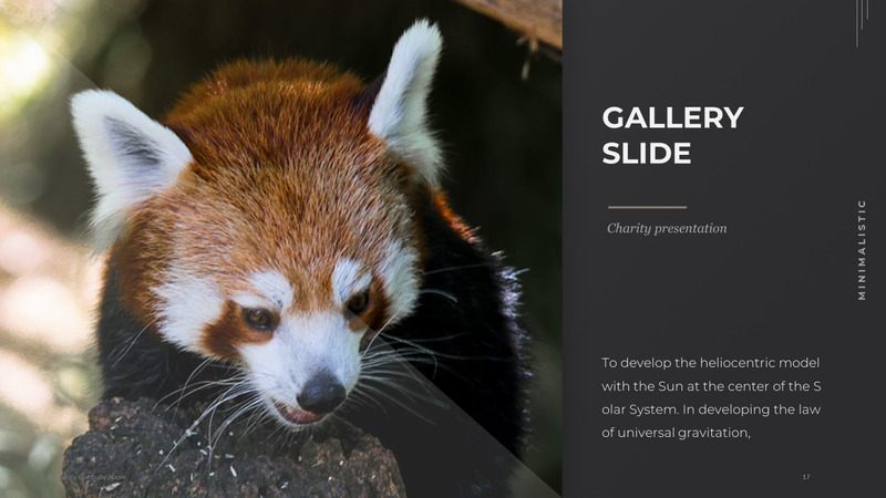 Modelo de PowerPoint de caridade animal - Features Image 17