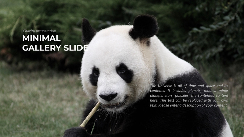 Modelo de PowerPoint de caridade animal - Features Image 18