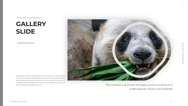 Modelo de PowerPoint de caridade animal - Features Image 21