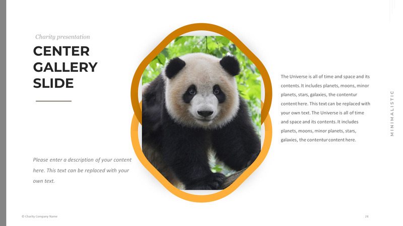 Modelo de PowerPoint de caridade animal - Features Image 24
