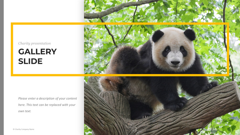 Modelo de PowerPoint de caridade animal - Features Image 30