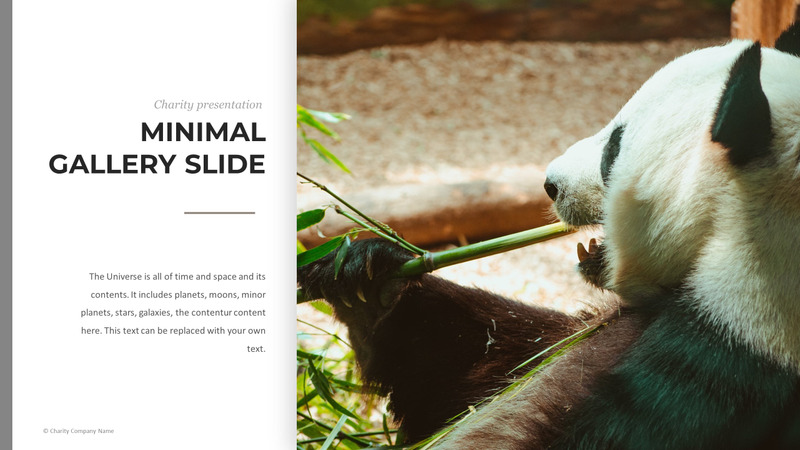 Modelo de PowerPoint de caridade animal - Features Image 32