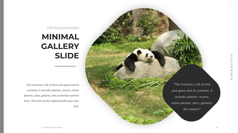 Modelo de PowerPoint de caridade animal - Features Image 34