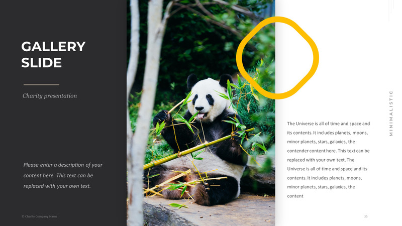 Modelo de PowerPoint de caridade animal - Features Image 35