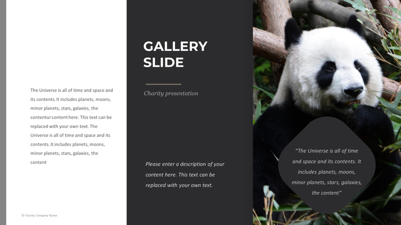 Modelo de PowerPoint de caridade animal - Features Image 37