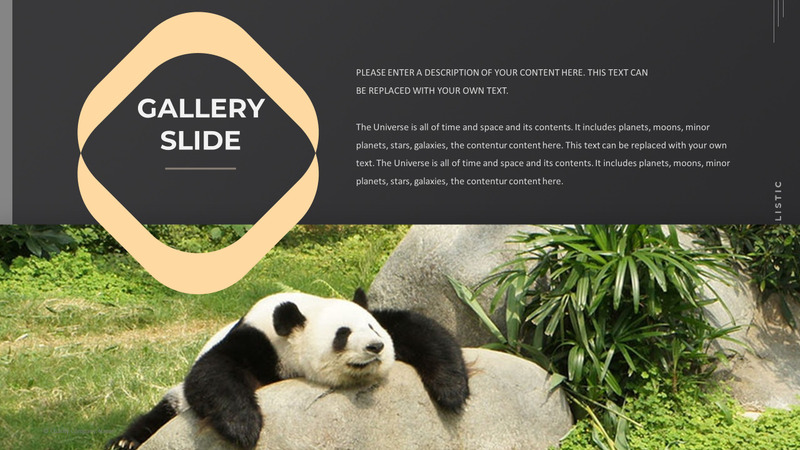 Modelo de PowerPoint de caridade animal - Features Image 38