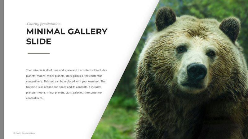 Modelo de PowerPoint de caridade animal - Features Image 40