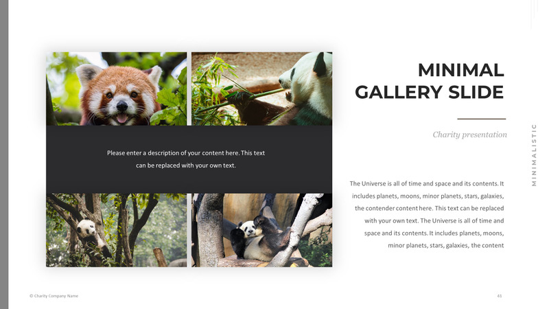 Modelo de PowerPoint de caridade animal - Features Image 41