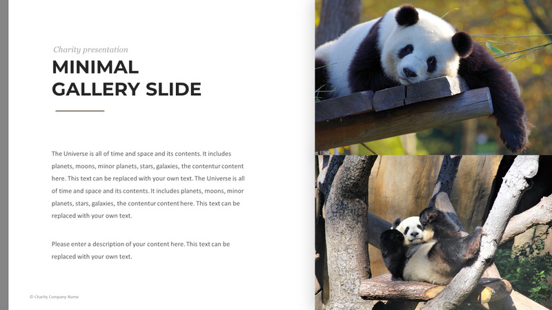 Modelo de PowerPoint de caridade animal - Features Image 42