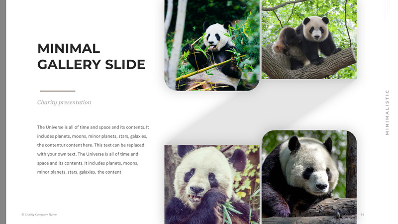 Modelo de PowerPoint de caridade animal - Features Image 44