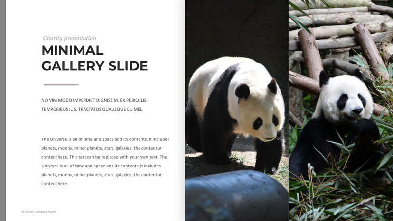 Modelo de PowerPoint de caridade animal - Features Image 45