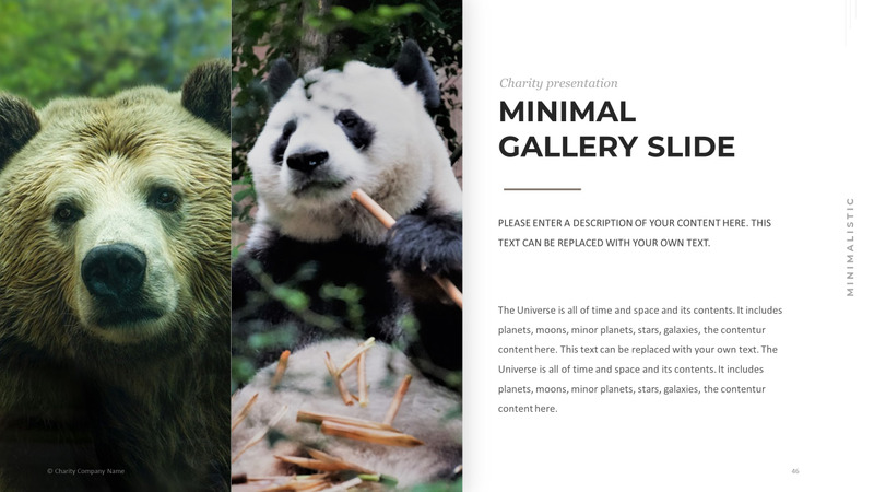 Modelo de PowerPoint de caridade animal - Features Image 46