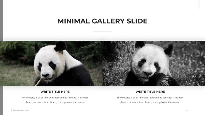 Modelo de PowerPoint de caridade animal - Features Image 48