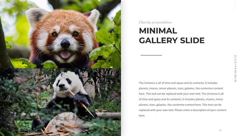 Modelo de PowerPoint de caridade animal - Features Image 49