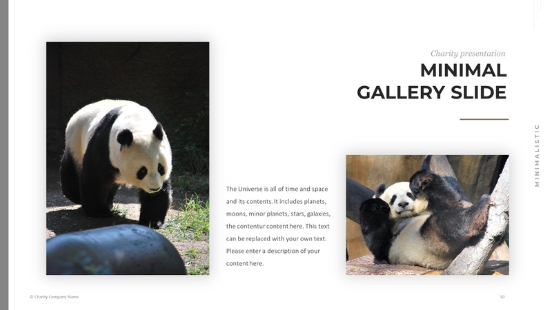 Modelo de PowerPoint de caridade animal - Features Image 50
