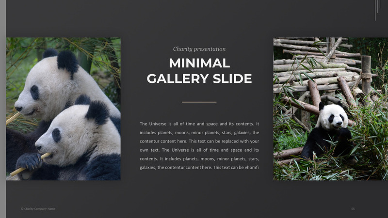 Modelo de PowerPoint de caridade animal - Features Image 55
