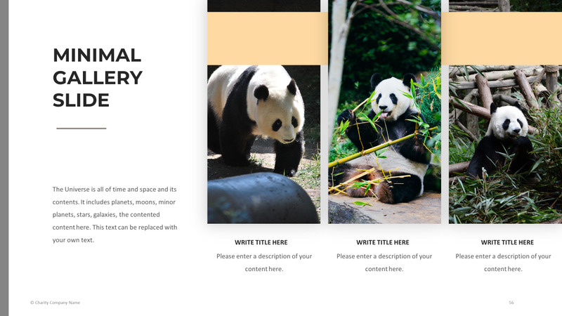 Modelo de PowerPoint de caridade animal - Features Image 56