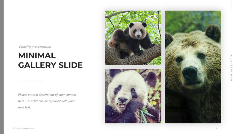 Modelo de PowerPoint de caridade animal - Features Image 57