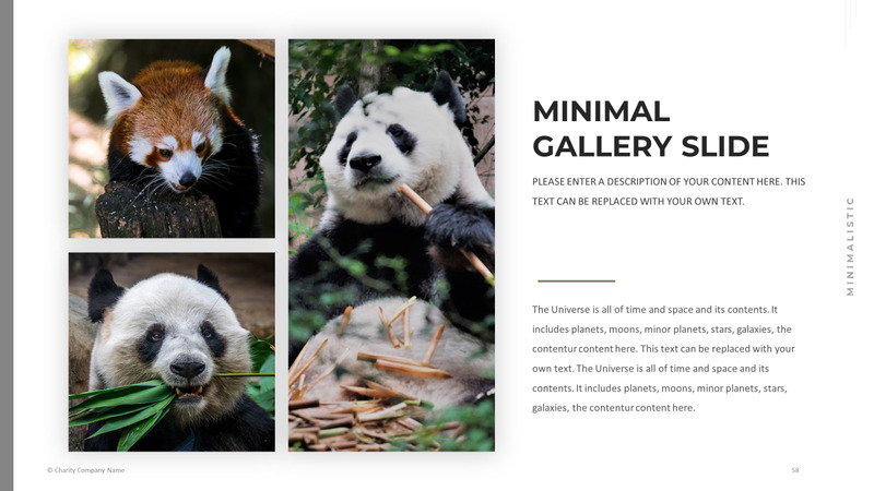 Modelo de PowerPoint de caridade animal - Features Image 58