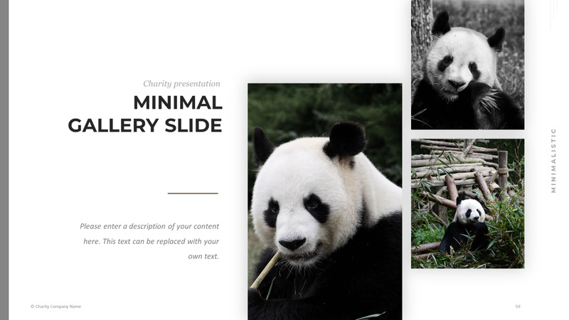 Animal Charity PowerPoint Template #78793 - TemplateMonster