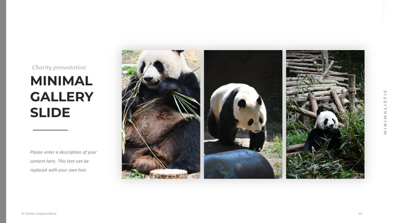 Modelo de PowerPoint de caridade animal - Features Image 61
