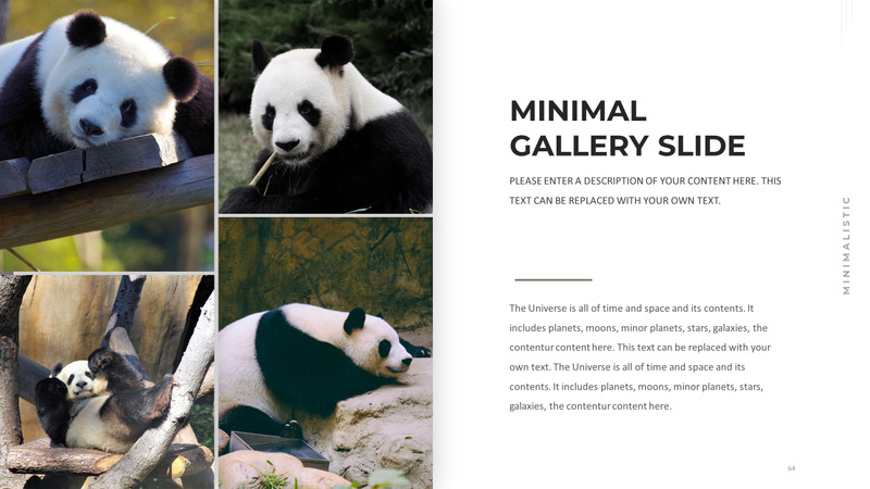 Modelo de PowerPoint de caridade animal - Features Image 64