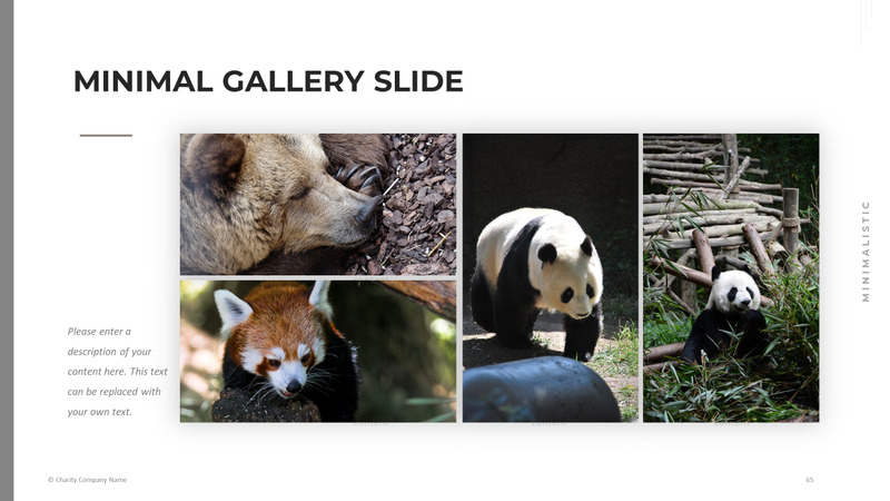 Modelo de PowerPoint de caridade animal - Features Image 65
