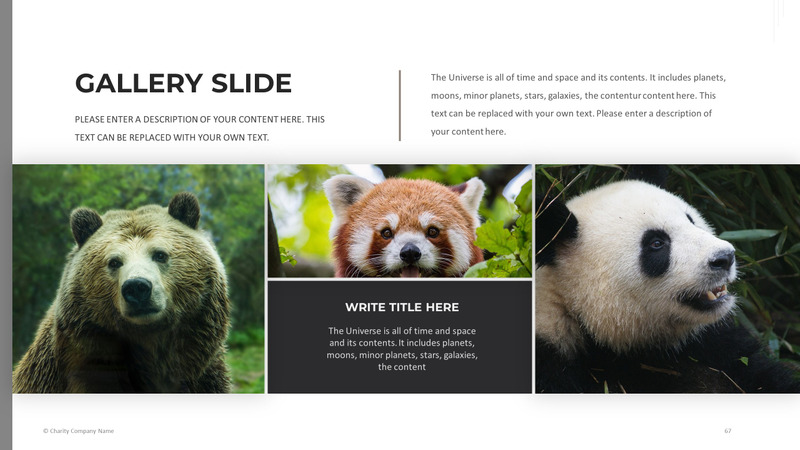 Modelo de PowerPoint de caridade animal - Features Image 67
